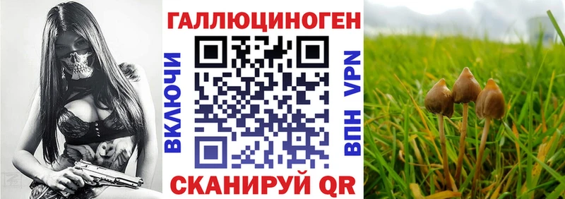 как найти наркотики  Байкальск  блэк спрут tor  Псилоцибиновые грибы ЛСД 